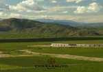 Chañarmuyo Estate
